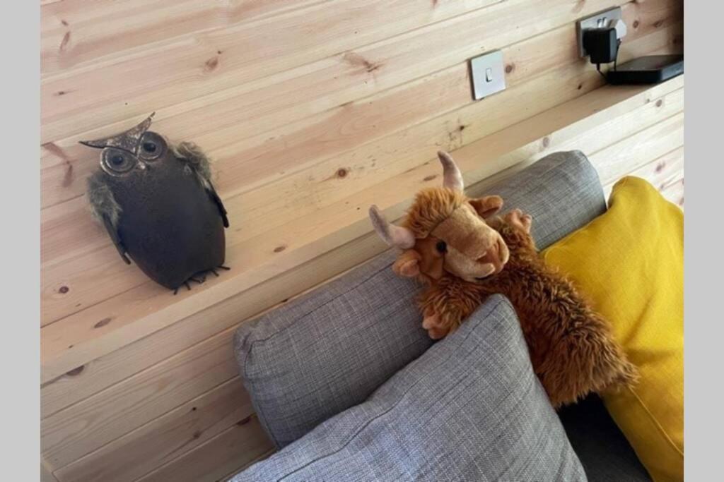 Coorie Doon Cabin! Great Scottish Welcome 포트오거스타 외부 사진