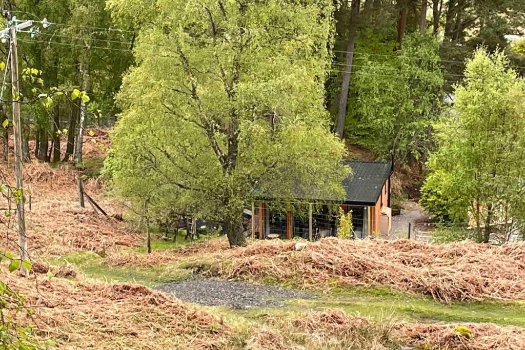 Coorie Doon Cabin! Great Scottish Welcome 포트오거스타 외부 사진